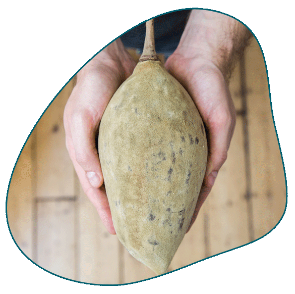 The nutrient powerhouse
