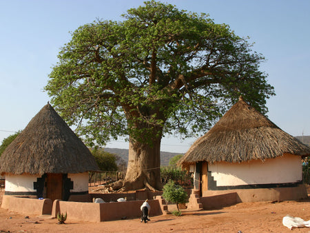 REDUCING EMISSIONS: THE RESULT OF OUR LIFE CYCLE ASSESSMENT