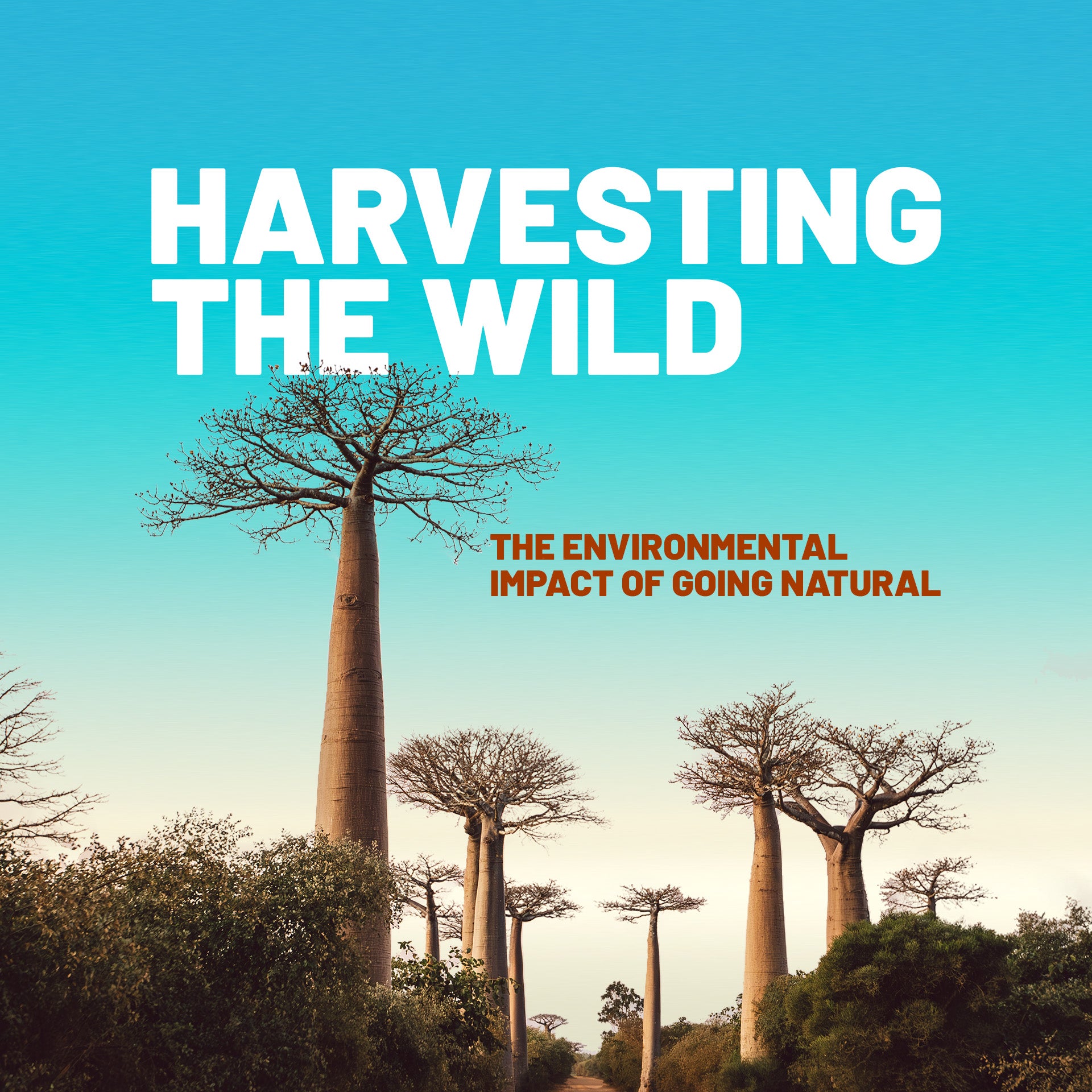 Harvesting the Wild: The Environmental Impact of Going Natural ...