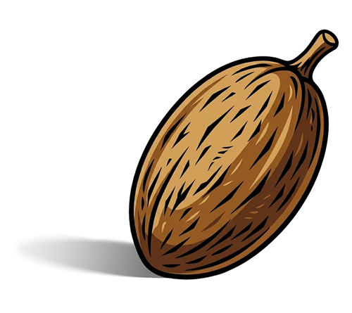 THE FRUIT
