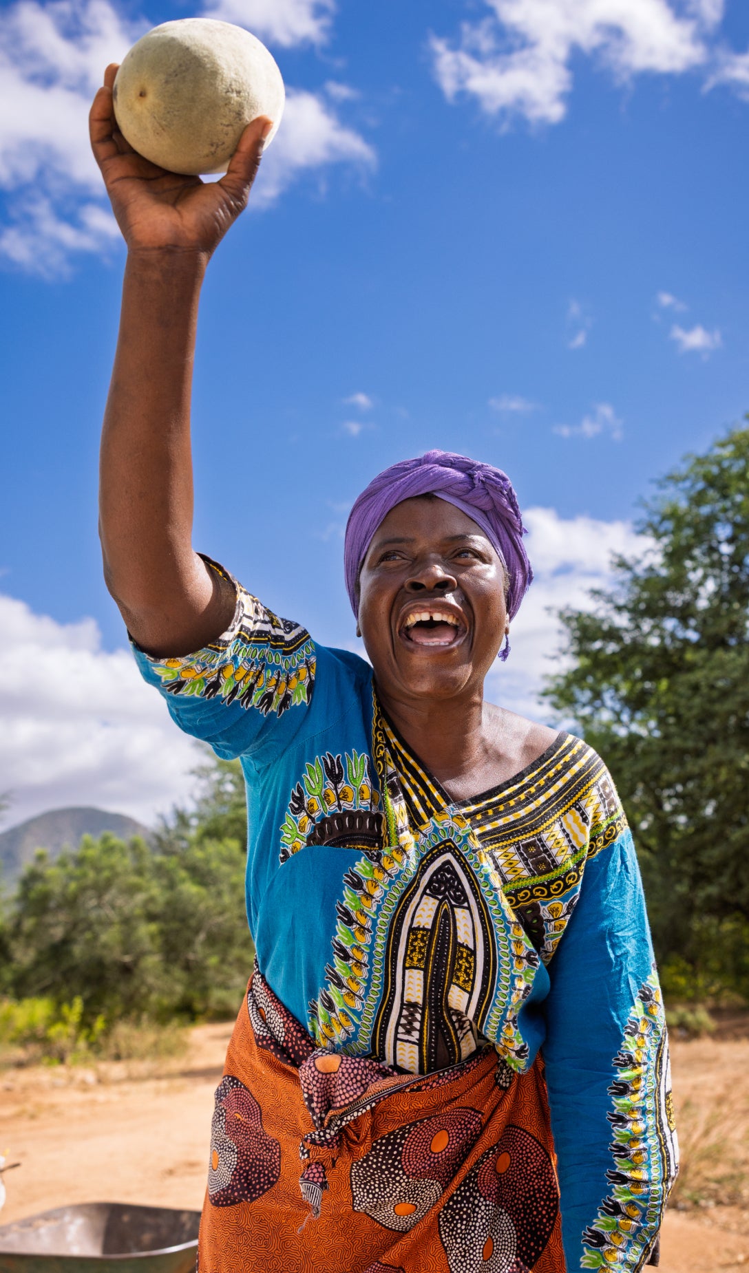 <p>What is <em>BAOBAB?</em></p>