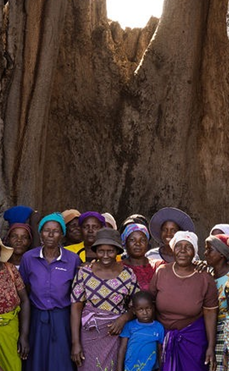Explore our sustainability and community mission